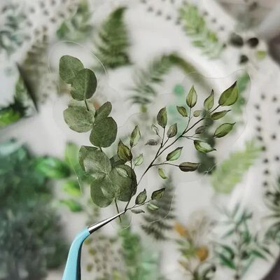 40Pcs Natural plants Flower Stickers DIY scrapbook PET Mater