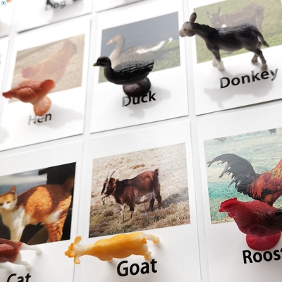 24Pcs/Set Montessori baby Learning English Animals Kids