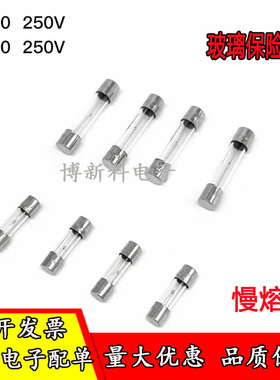 慢熔玻璃保险丝管5x20延时保险丝管微波炉保险管T2AT3AT5AT8AT10A