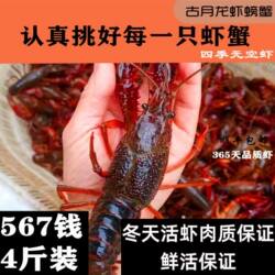 盱眙金湖洪泽清水活体大青虾红壳淡水567钱生鲜小龙虾鲜活水产4斤
