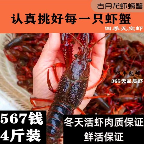 盱眙金湖洪泽清水活体生鲜大青虾