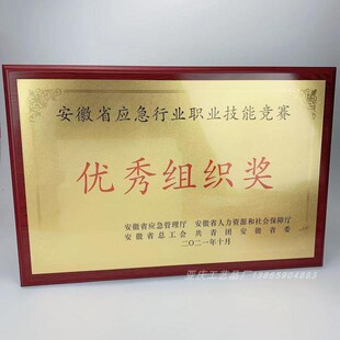 新品上架金箔奖牌木托牌匾定制定做40X60优秀组织奖会员牌匾包邮
