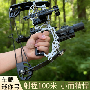 迷你小型复合弓成人户外射箭大威力金属弓高精度滑轮弓狩猎神器