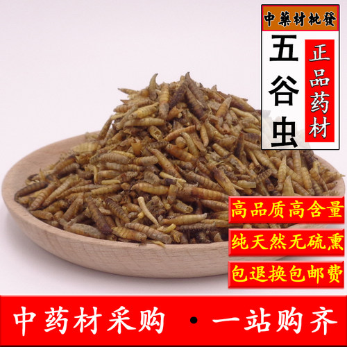 中药材五谷虫 天然无谷虫 蛆 蝇蛆干 水仙子 500克另有乌蛇蝎子