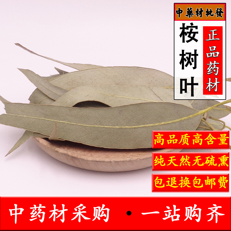 中药材正品桉树叶500克包邮 桉叶 大叶桉 按树叶 橡树叶 蓝绿桉叶