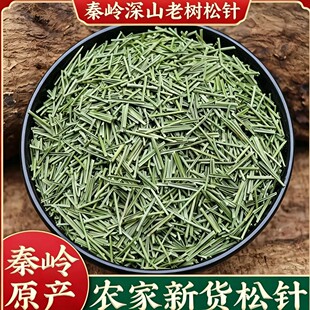 秦岭老树马尾松松针松子人工自然阴干源产地非松子干货马尾松针松