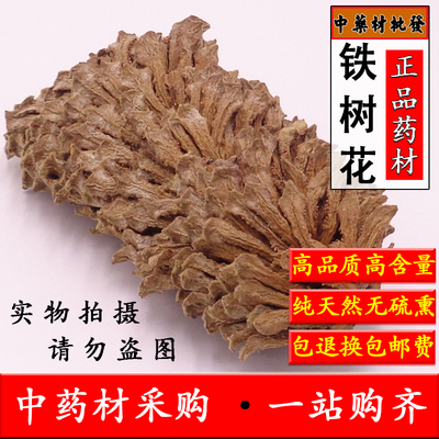 中药材铁树花正品500克包邮  天然铁树雄花 新货铁树花 另有雌花