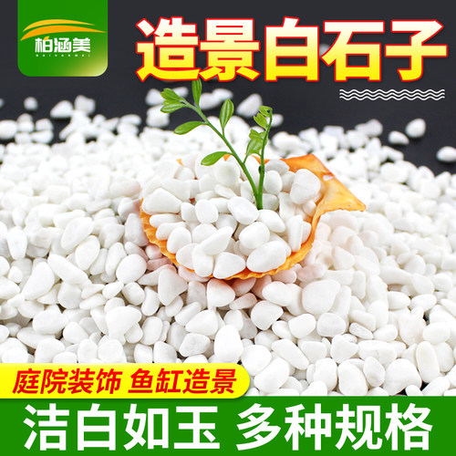 园艺铺面庭院装饰鱼缸造景