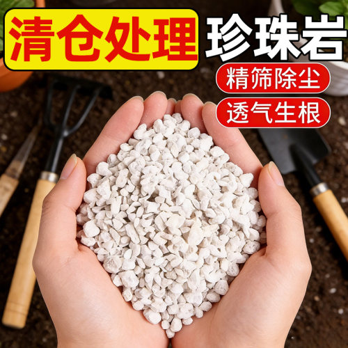 膨胀珍珠岩颗粒家用园艺植料多肉铺面垫底扦插育苗种菜蛭石营养土