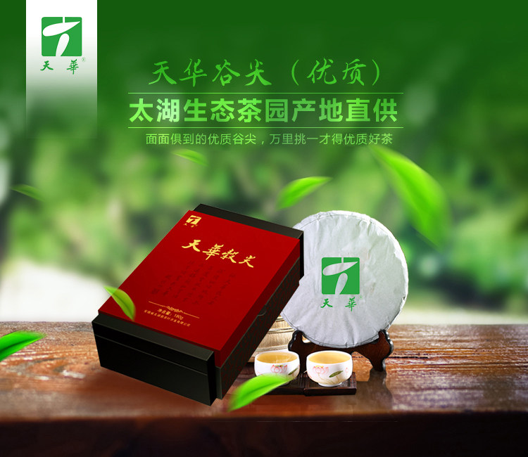 礼盒(天华谷尖)太湖天华谷尖 清香绿茶 明前新茶春茶 t1706