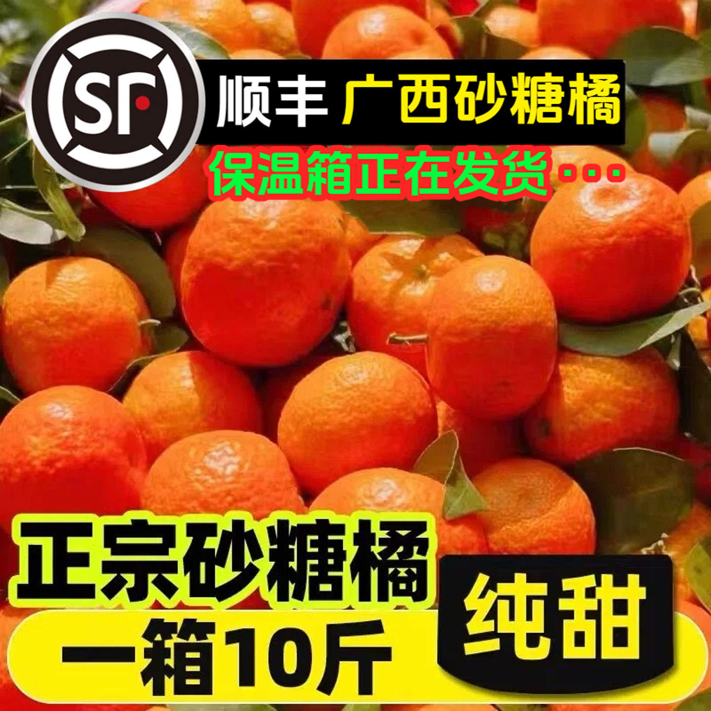 正宗广西砂糖橘新鲜水果无籽小沙糖桔子金秋蜜桔整箱礼盒顺丰10斤,水产肉类/新鲜蔬果/熟食,桔子,淘宝优惠券,粉丝福利购,淘宝优惠卷