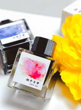 芸景堂钢笔用彩色墨水不堵笔练字