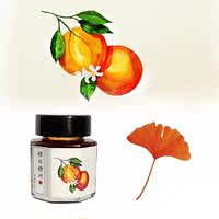 Scented color ink fountain pen ink non-carbon Winter General Bamboo Forest Cyanotic Evening Burn Creative gift for students thumbnail 6