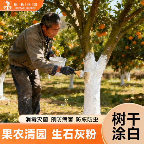生石灰粉土壤杀毒防虫果树涂白剂