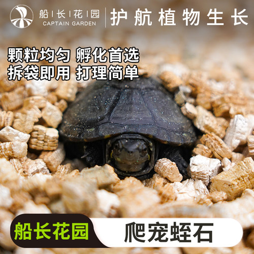 蛭石乌龟冬眠守宫蛋孵化孵化垫材