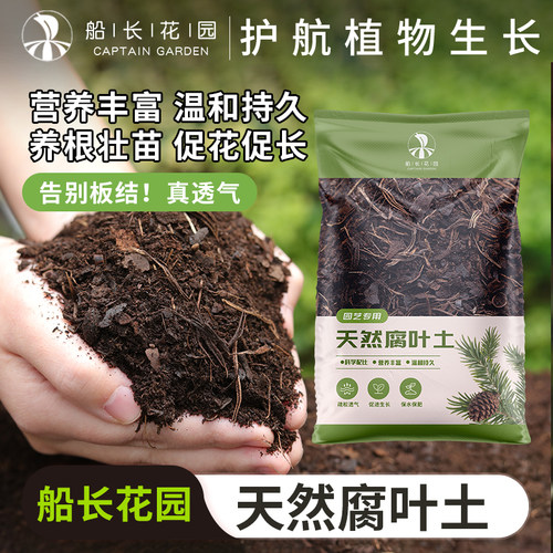 森林腐叶土天然腐熟松针筋腐殖土