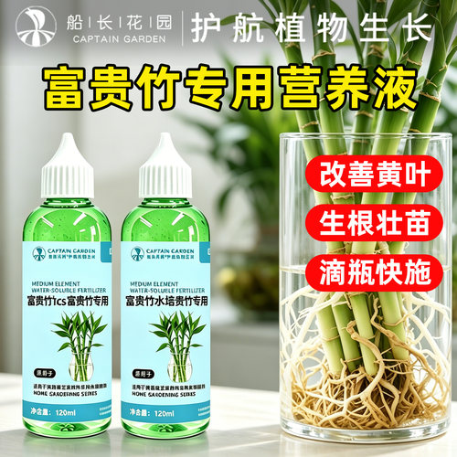 富贵竹营养液水培通用促根绿叶肥