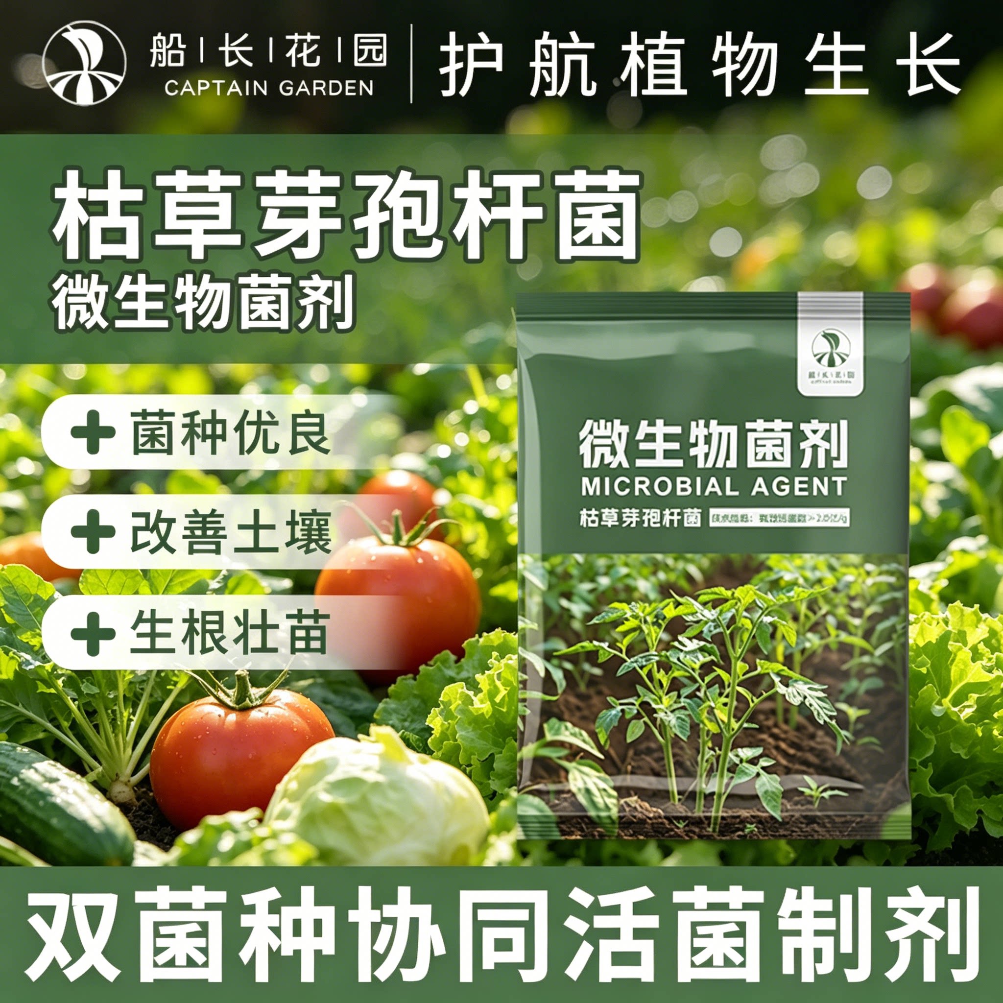 枯草芽孢菌杆菌微生物菌肥粉剂农用花卉盆栽土壤改良蔬果种植益菌