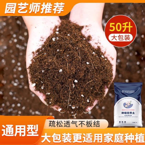 营养土养花专用家用通用泥炭土壤