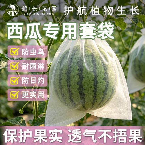 西瓜套袋无纺布防虫鸟瓜果保护袋