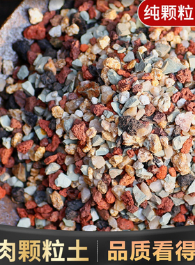 船长多肉彩虹石纯颗粒土营养土壤火山麦饭石多肉栽培土专用铺面石