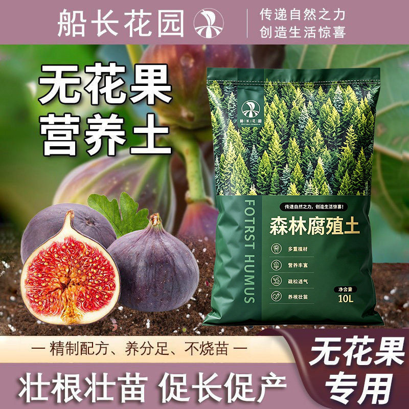 无花果专用土果树通用泥炭营养土图片