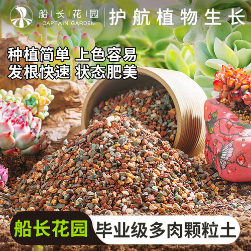 船长多肉专用土颗粒营养纯颗粒土