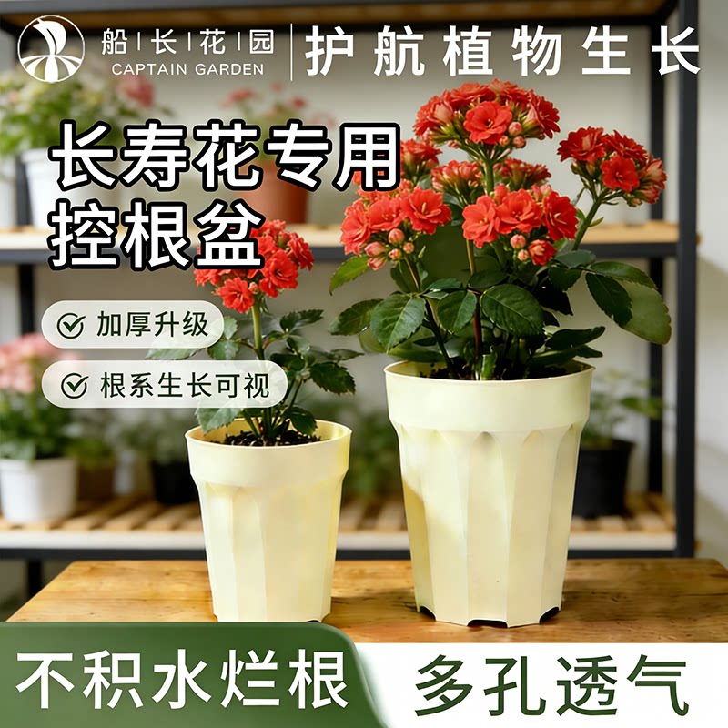 长寿花专用控根盆家用自吸水花盆天竺葵蟹爪兰花卉绿植通用套盆图片