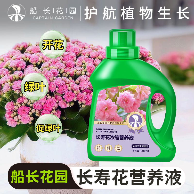 船长花园长寿花浓缩营养液500ML