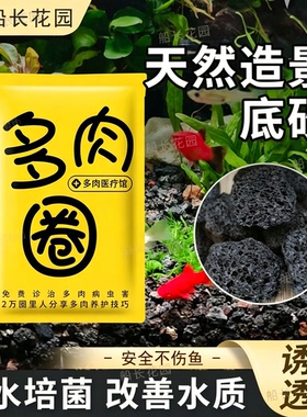黑色天然火山石颗粒多肉铺面拌土鱼缸过滤专用底沙水族造景火山岩