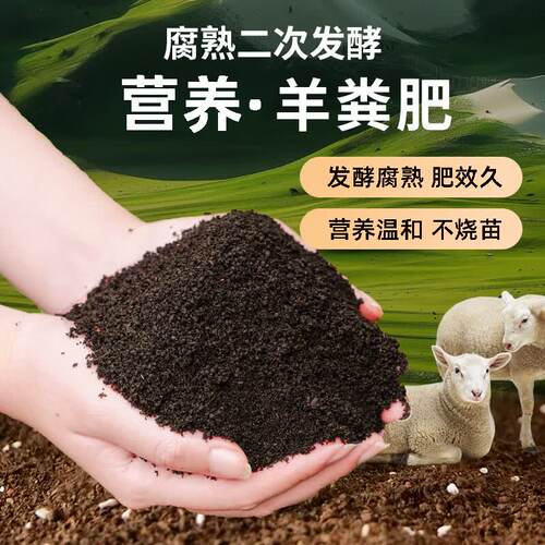 内蒙古纯腐熟羊粪发酵有机肥种菜专用花卉蔬菜通用农家100斤肥料
