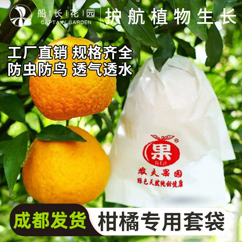 船长花园柑橘套袋耙耙柑丑柑套袋图片