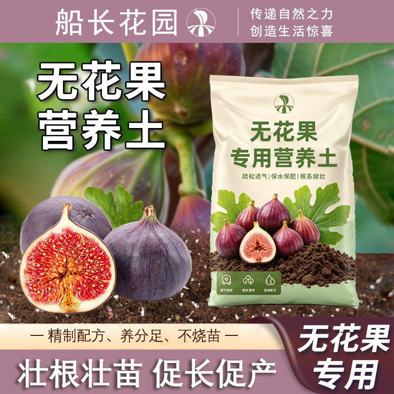 无花果专用土果树通用泥炭营养土图片