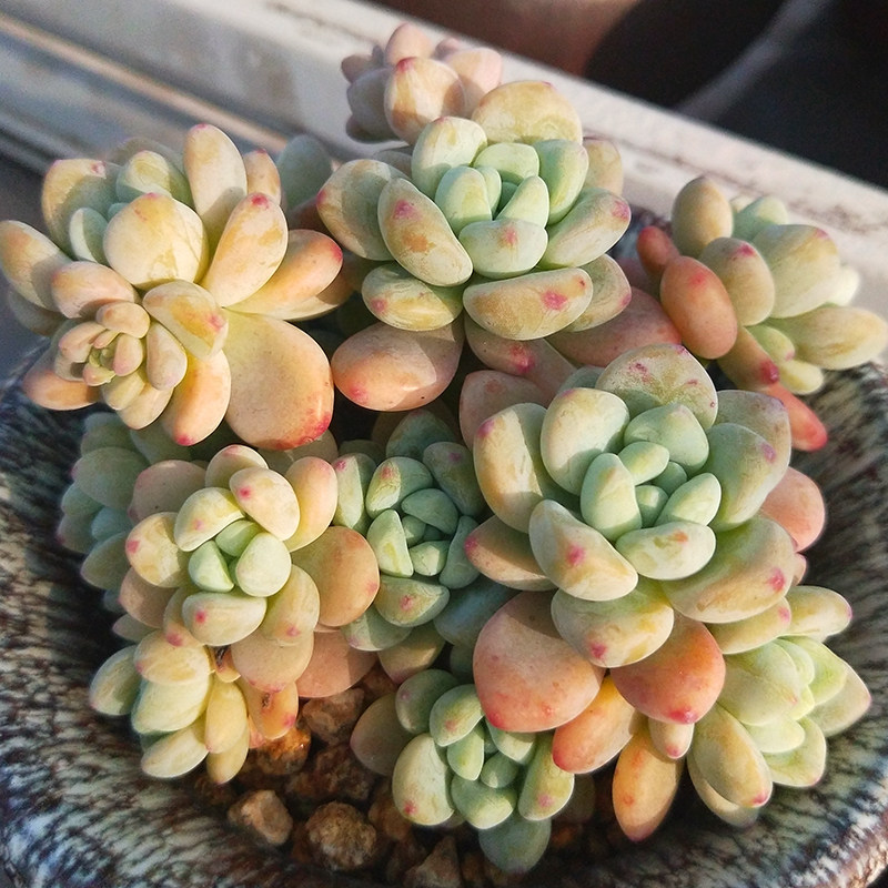 网友分享在meiguo.com的图片