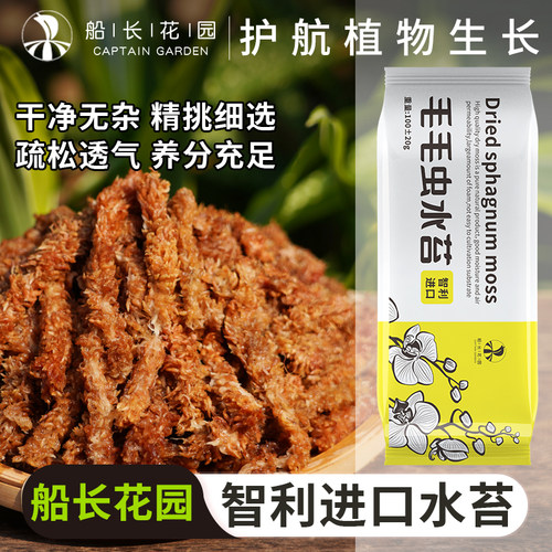 毛毛虫水苔智利进口蝴蝶兰盆栽植物干苔藓植料乌龟垫材兰花专用土