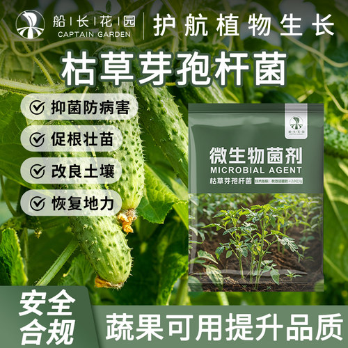枯草芽孢菌杆菌微生物菌剂