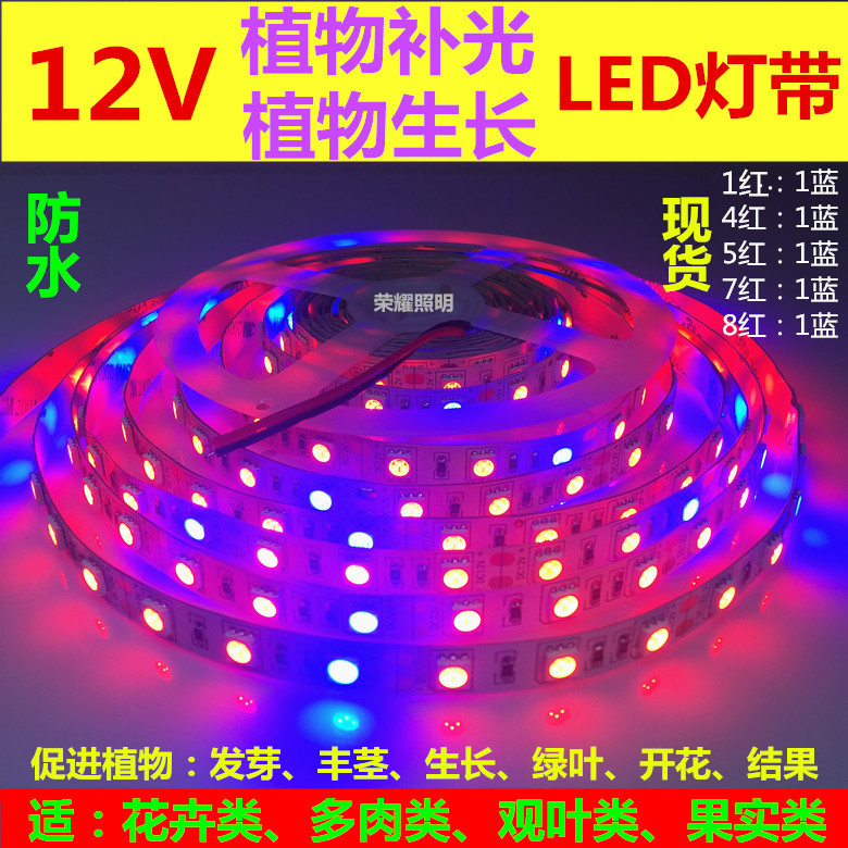 led12V植物生长灯带防水12V低压led植物补光灯条育苗多肉水草大棚