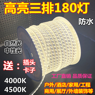 LED灯带220v高亮防水4000K自然暖白中性光三排180珠4500K吊顶软条