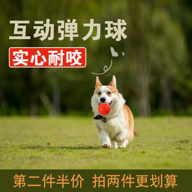 狗狗玩具球解闷神器宠物小狗边牧耐咬橡胶球磨牙逗狗遛狗巡回球