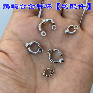 各种鸟脚环放鸟绳配件虎皮鹦鹉活动脚环放鸟牵引绳配件不锈钢脚环