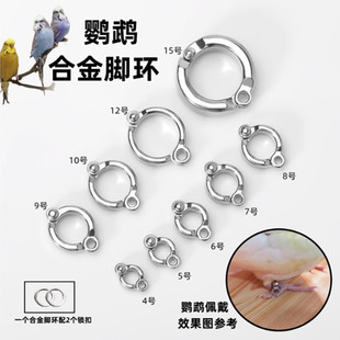 鹦鹉脚环脚链不锈钢鸟链子虎皮八哥牡丹玄凤鸟放飞绳站架鸟链用品