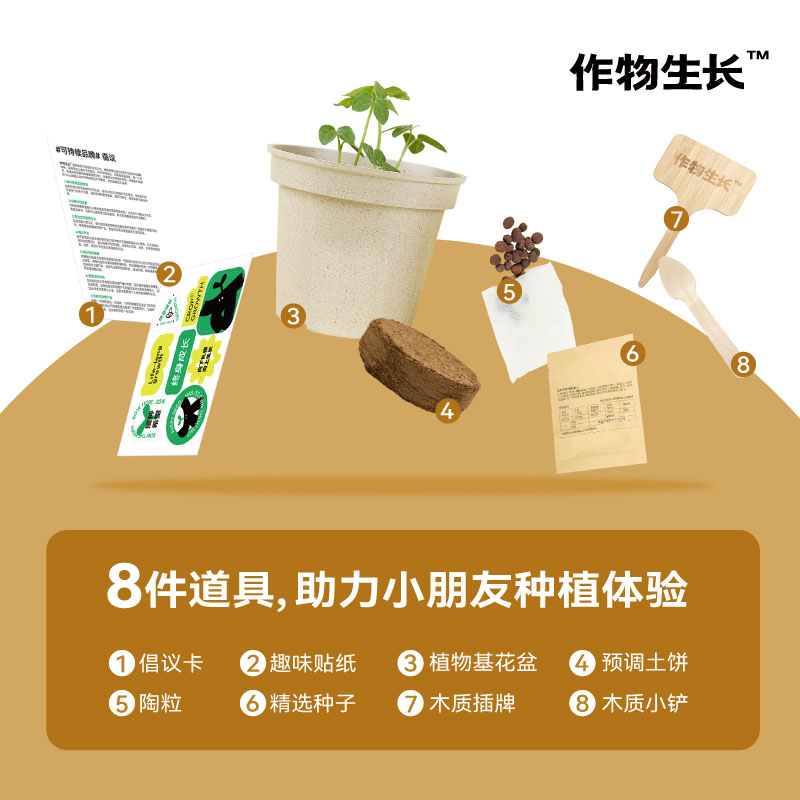 作物生长花生种植盆栽套装幼儿园手工课学校学生体验趣味迷你绿植