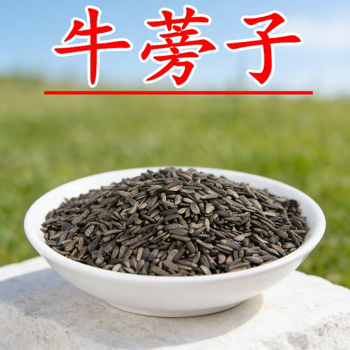 牛蒡子中药材正品500g克特级牛旁子茶可磨粉泡茶喝大力子新货野生