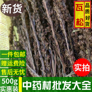 全草瓦松500g包邮野生瓦松草瓦花向天草天王铁塔草新货整颗中药材