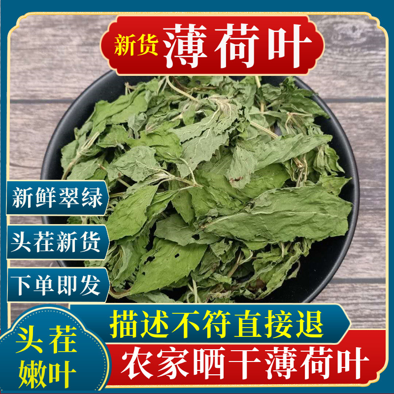 天然薄荷叶干茶干货品中药材新鲜食用冲泡茶泡水调酒500g清凉包邮