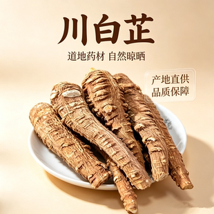 整根川白芷中药材正品500g非野生川白芷个四川遂宁正宗新干货香料