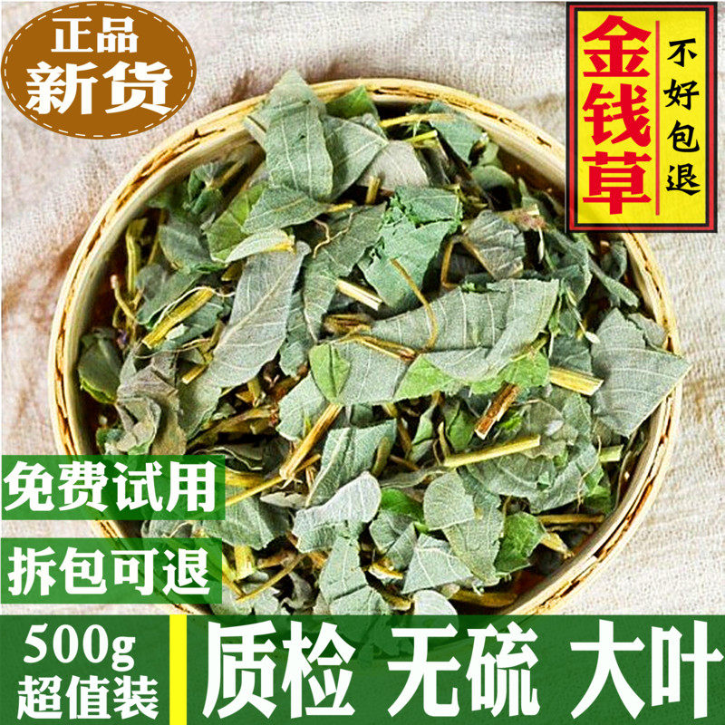 金钱草广西野生新鲜大叶广金钱草500g包邮泡水益搭配鸡内金玉米须