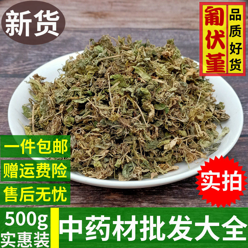 中药材 匍伏堇 无硫新货500g包邮野生七星莲白地黄瓜地白菜雪里青