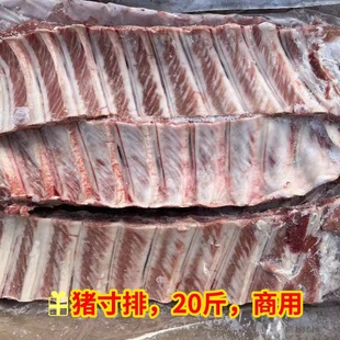 新鲜冷冻猪寸排 精修猪肋排实物拍图猪排骨手抓骨 大排骨商用包邮