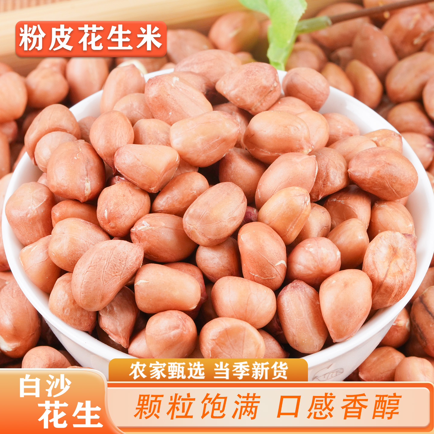 花生米生的新货2025年新上市粉皮花生米河南特产白沙花生新鲜大粒